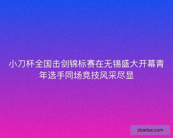 小刀杯全国击剑锦标赛在无锡盛大开幕青年选手同场竞技风采尽显