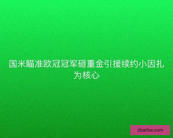 国米瞄准欧冠冠军砸重金引援续约小因扎为核心